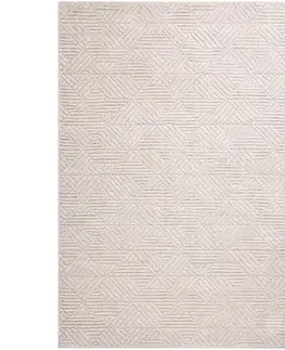 Moderné koberce Koberec Alloy 0,8/1,2 216 B6X J