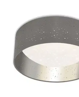 Svietidlá Briloner 3482014 - LED Stropné svietidlo STARRY LED/12W/230V šedá/strieborná 3482014