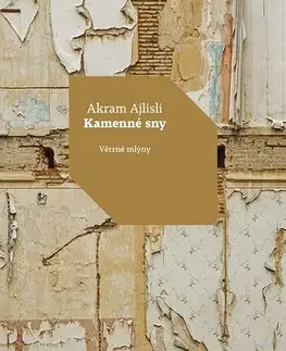 Romantická beletria Kamenné sny - Akram Ajlisli
