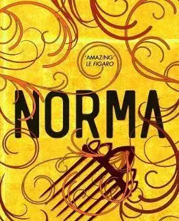 Cudzojazyčná literatúra Norma - Sofi Oksanen,Owen F. Witesman