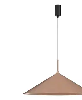 Svietidlá  Závesný luster na lanku CAPITAL 1xGX53/15W/230V, priemer 60 cm, ružovo-zlatý MLP0948