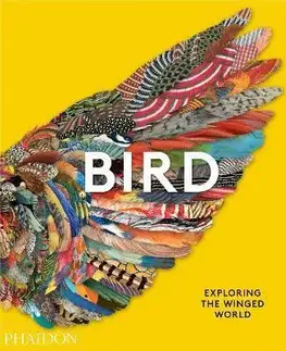 Fotografia Bird: Exploring the Winged World - Jen Lobo,Katrina van Grouw