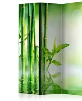 Paravány Paraván Green Bamboo Dekorhome