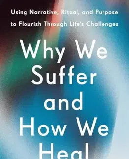 Motivačná literatúra Why We Suffer and How We Heal - Dr Suzan Song