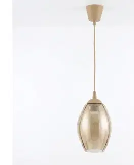 Svietidlá BRILAGI - LED závesný luster na lankovom vedení R GLASS 1xE27/60W/230V, priemer 17 cm, béžová/dymovo-béžová NSTK7499+TK8619A