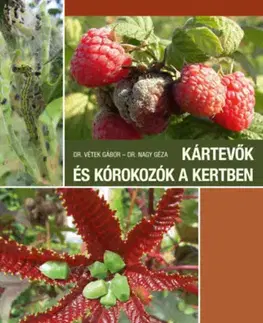 Záhrada - Ostatné Kártevők és kórokozók a kertben - Kolektív autorov