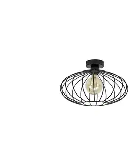 Svietidlá  Prisadený luster EARTH L 1xE27/60W/230V 0795
