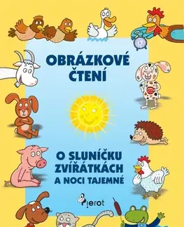 Pre deti a mládež - ostatné O sluníčku zvířátkách a noci tajemné - Alena Schejbalová,Vendula Hegerová