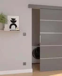 Posuvné dvere ArtAdrk Posuvné dvere BIELLA | 76 cm Farba: Sivá