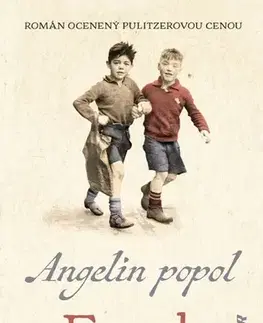 Svetová beletria Angelin popol - Frank McCourt,Jana Seichertová
