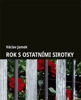 Skutočné príbehy Rok s ostatními sirotky - Václav Jamek