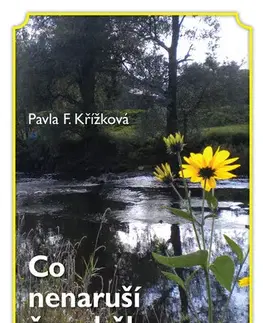 Novely, poviedky, antológie Co nenaruší času běh - Pavla F. Křížková