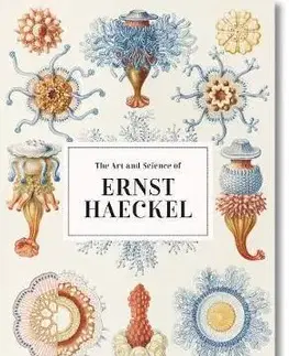 Cudzojazyčná literatúra Haeckel - Rainer Willmann,Julia Voss