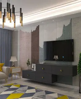 TV stolíky TV stolík Zuzu Double - Anthracite