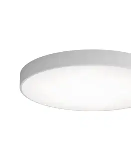 Svietidlá  LED Stropné svietidlo CLEO LED/96W/230V 4000K pr. 80 cm šedá 5907623600684