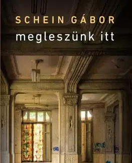 Svetová beletria Megleszünk itt - Gábor Schein
