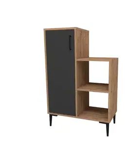 Kúpeľňové skrinky Viacúčelová skrinka Reysary - Atlantic Pine, Anthracite