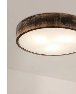 Svietidlá BRILAGI - LED stropné svietidlo CARVALHO SMOKEY LED/36W/230V dub priemer 47,5 cm LD-PD-6.3/SMOKY