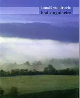 Česká beletria Bod singularity - Tomáš Vondrovic