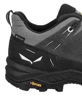 Nízka outdoor obuv SALEWA Alp Trainer 2 Gore-Tex M Veľkosť: 41 EUR