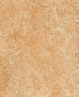 Marmoleum marbled real FORBO Marmoleum marbled real Shell 3075 Tl. 2 mm