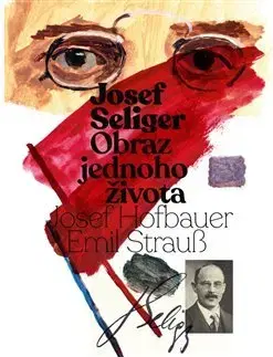 Politika Josef Seliger - Obraz jednoho života - Josef Hofbauer,Emil Strauß
