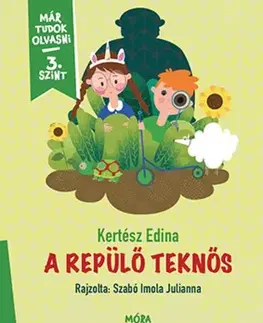 Rozprávky A repülő teknős - Edina Kertész