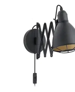 Svietidlá Eglo 43184 - Nástenné svietidlo TREBURLEY 1xE27/28W/230V 43184