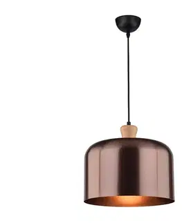 Svietidlá  Luster na lanku DICTORIA 1xE27/40W/230V 31-58553