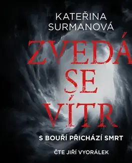 Detektívky, trilery, horory Témbr Zvedá se vítr