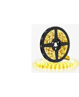 LED osvetlenie  WM611 - LED Pásik LED/50W/12V 5m teplá biela WM611