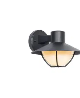 Svietidlá  Vonkajšie nástenné svietidlo ZALIKA 1xE27/60W/230V IP44 čierna SKU013594