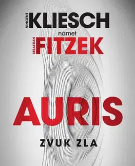 Detektívky, trilery, horory Zvuk zla - Vincent Kliesch,Sebastian Fitzek,Zuzana Kováčiková