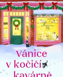 Romantická beletria Vánice v kočičí kavárně - Rachel Rowlands,Veronika Teryngerová