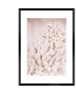 Obrazy Plagát Pastel Pink II