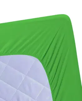Plachty Posteľná plachta jersey zelená kiwi TiaHome - 200x200cm