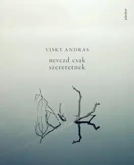 Svetová beletria Nevezd csak szeretetnek - András Visky