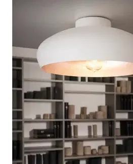Svietidlá Eglo 94548 - Stropné svietidlo MOGANO 1xE27/60W/230V 94548
