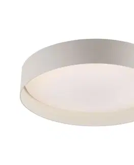 Svietidlá Schöner Wohnen 14594-39 - stmievateľné LED stropné svietidlo TAVOLI LED/20W/230V sivé+DO 14594-39