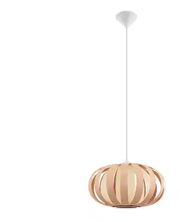 Svietidlá Eglo 32439 - Závesné svietidlo ARENELLA 1xE27/60W/230V 32439