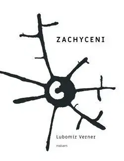 Česká beletria Zachyceni - Lubomír Verner