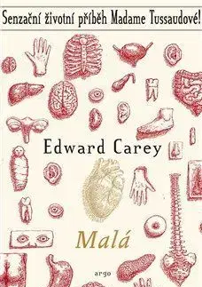 Svetová beletria Malá - Edward Carey,John Snelling