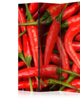 Paravány Paraván Chili pepper - background Dekorhome