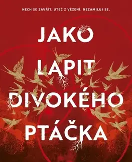 Sci-fi a fantasy Jako lapit divokého ptáčka - Brooke Fast,Daniela Čermáková