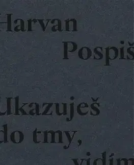 Slovenská poézia Ukazuješ do tmy, vidím svetlo - Róbert Pospiš
