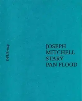 Svetová beletria Starý pan Flood - Kateřina Hilská