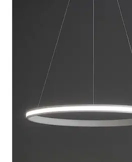 Svietidlá  LED Stmievateľný luster na lanku LED/55W/230V 3000-6500K pr. 60 cm + diaľkové ovládanie TA2305/W