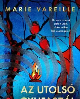 Beletria - ostatné Az utolsó gyufaszál - Marie Vareilleová