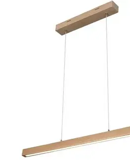 Svietidlá  1509474 - LED Stmievateľný luster na lane SMAL LED/12W/230V 1509474