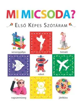 Leporelá, krabičky, puzzle knihy Mi micsoda? – Első képes szótáram